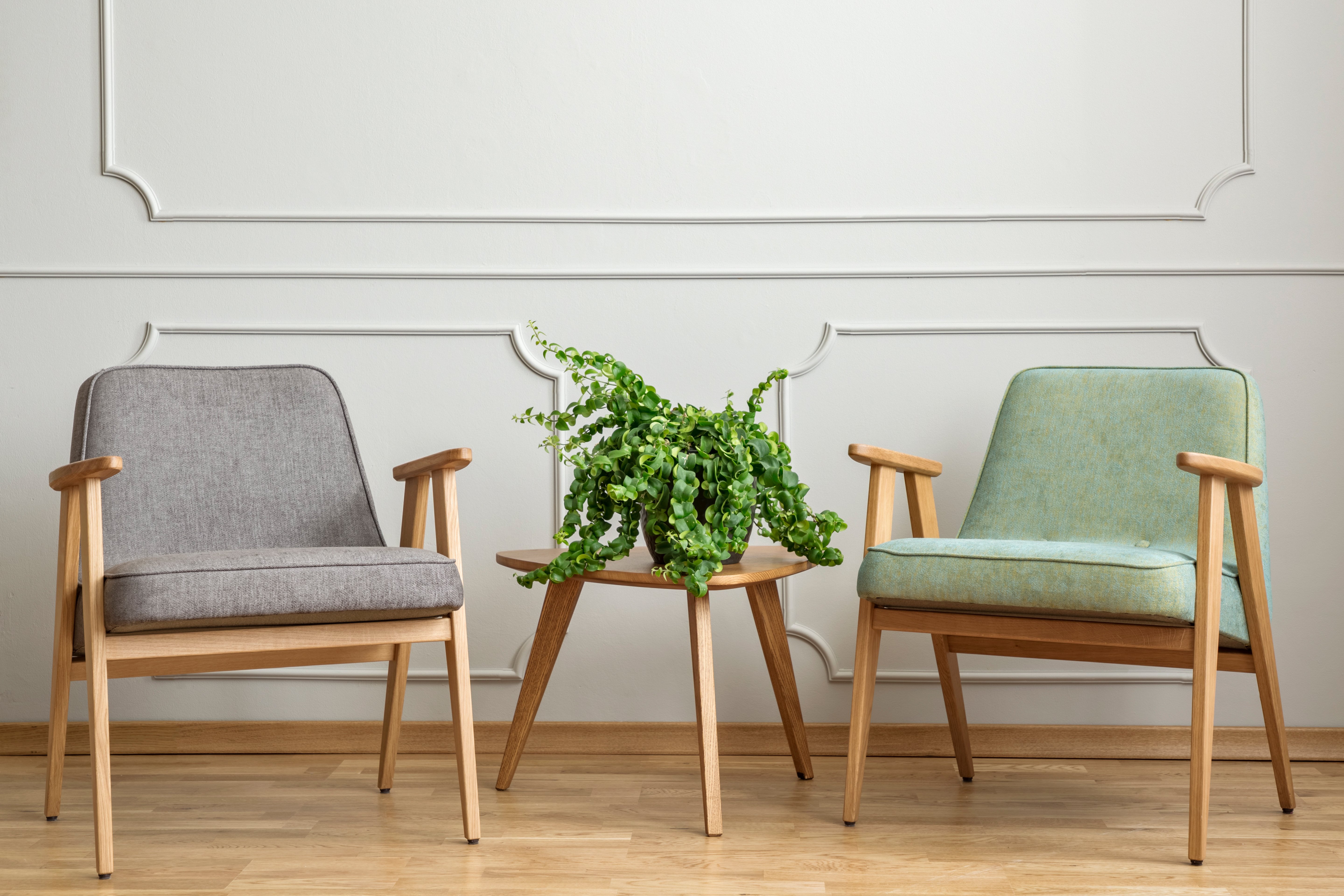 Zwei Sessel stehen an einer Wand. Zwischen den Sesseln steht ein Tisch mit einer Pflanze. Die Sessel haben Armlehnen. 