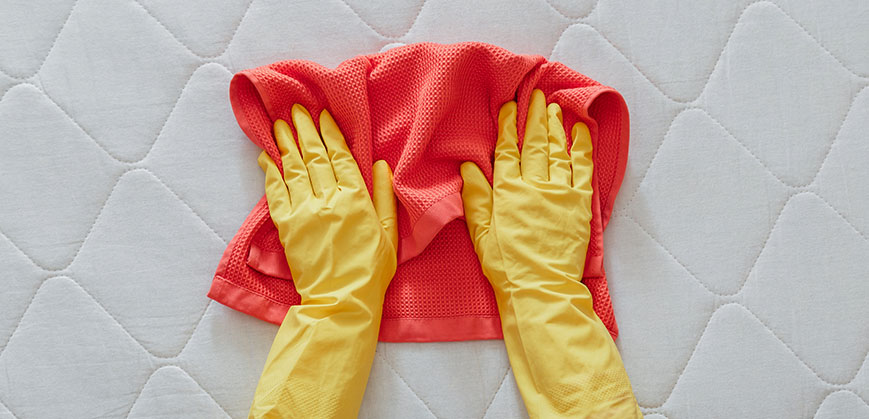 Zwei Hände in Gummihandschuhen reinigen Matratze mit einem Schwamm