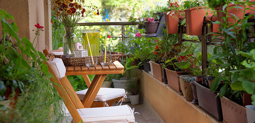 Ein Tisch und zwei hölzerne Klappstühle mit hellen Kissen auf einem Balkon mit vielen Pflanzen
